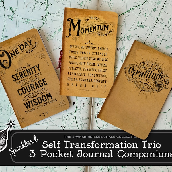 Self Care Pocket Journal Companion Notebook Trio. Addiction Recovery & Gratitude Journals where you can process your journey to the best you