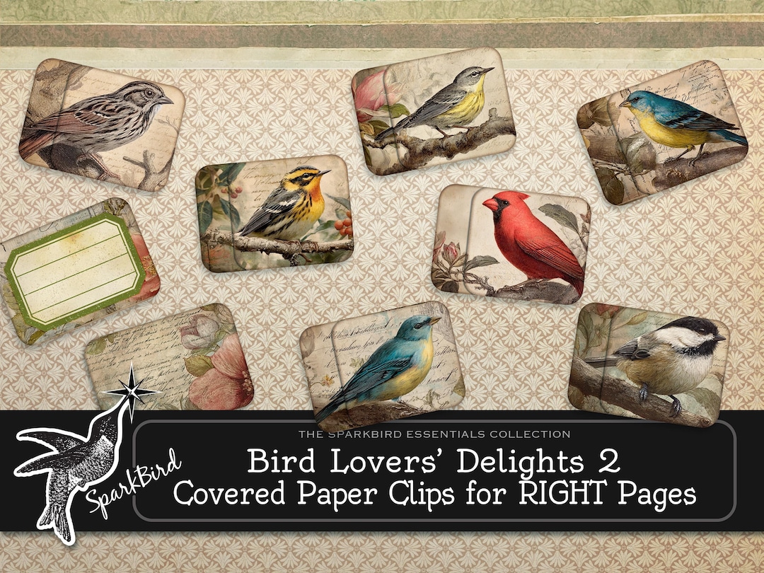 Vintage Birds Altered Paper Clips and Removable Tabs for Journals and ...