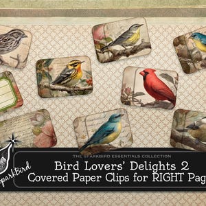 May include: A collection of decorative paper clips featuring various bird illustrations. Each clip showcases a different bird species, with detailed artwork on a vintage-style background. The text on the image reads "Bird Lovers' Delights 2 Covered Paper Clips for RIGHT Pages."