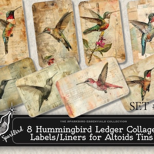 May include: Set of eight vintage-style hummingbird collage labels or liners for Altoids tins. Each label features a different hummingbird illustration on a background of ledger paper with faded text and numbers. The labels are perfect for adding a touch of whimsy to your Altoids tins.