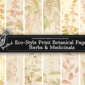 Pagine di erbe botaniche stampabili in stile ecologico per pagine di diario spazzatura, spread ed effimeri, sfondi e tag