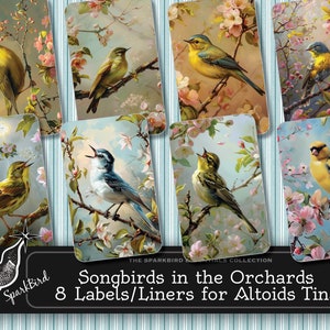 Inserts en boîte de conserve pour boîtes de bonbons, 8 couvercles et doublures assorties : oiseaux chanteurs dans les vergers, téléchargement numérique instantané, cadeaux pour les ornithologues amateurs