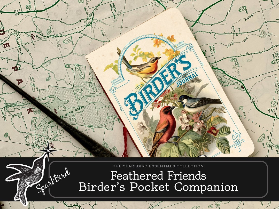 Record Your Birdwatching Moments With DIY Printable Bird Journalmake