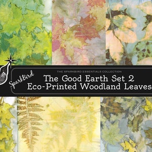 Bellissime stampe botaniche per pagine e fogli di giornale spazzatura, articoli di cancelleria, cartoline e scrapbooking unici. Stampa ecologica tradizionale naturale