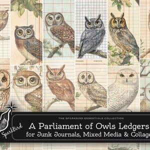 Uilenbos grootboekpagina's en vintage ruitjespapier, Woodland Junk Journal benodigdheden, digitale plakboekafdrukbare items | Natuurverschijnselen,