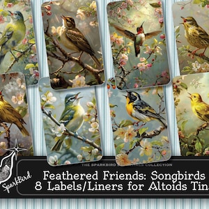 Altoid blikken deksels en inzetstukken voor snoepdozen. Favoriete zangvogels, 8 covers en mix-matchliners. Direct digitaal downloaden, Cadeaus voor Birders
