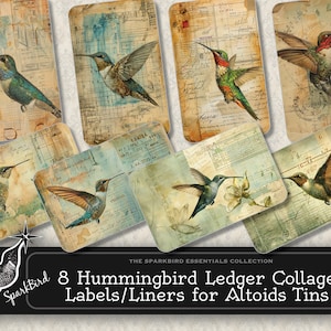 Könnte beinhalten: Acht Etiketten im Vintage-Stil mit Kolibris auf einem Hintergrund aus Kassenbuchpapier. Die Etiketten sind für Altoids-Dosen konzipiert. Der Text auf den Etiketten lautet "The Sparkbird Essentials Collection" und "8 Hummingbird Ledger Collage Labels/Liners for Altoids Tins".