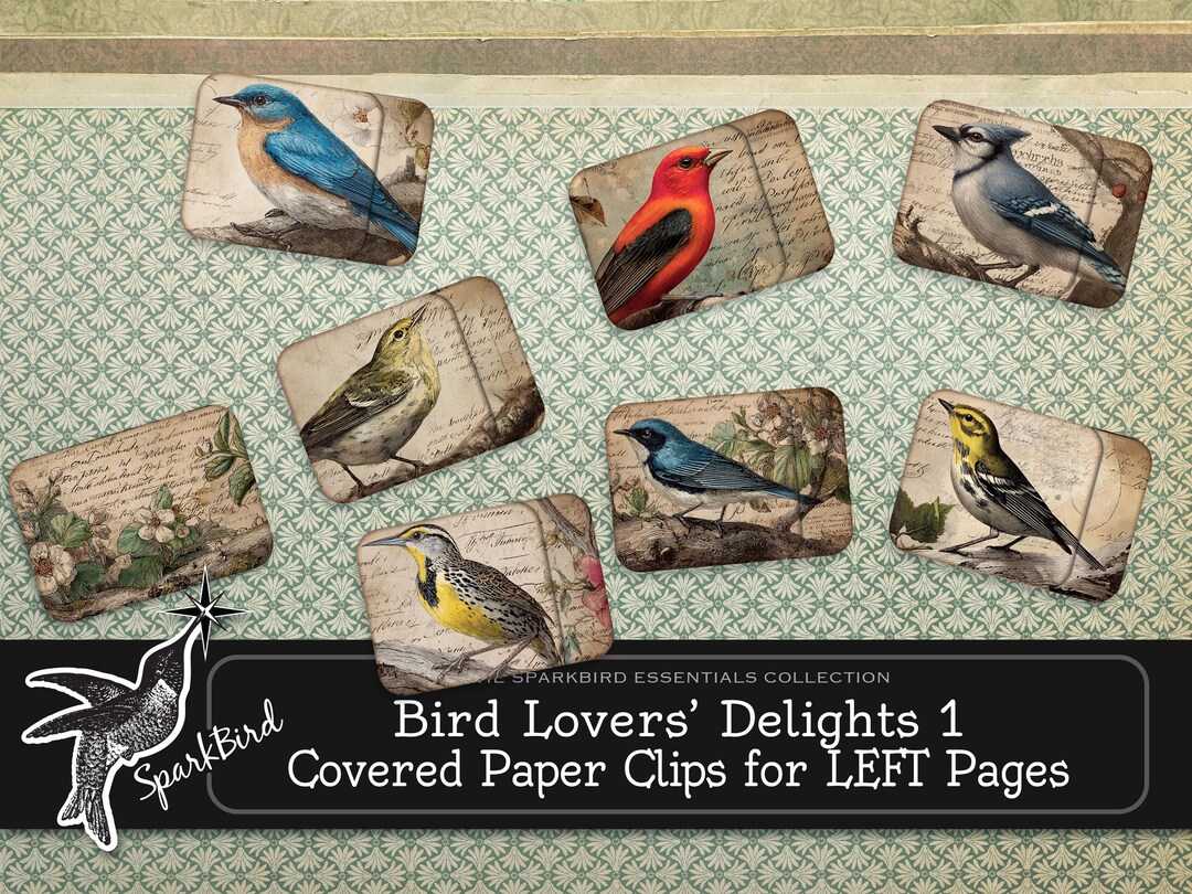 Beautiful Birds Covered Paper Clips and Removable Tabs for the SIDES of ...