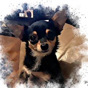 Custom Cartoon pet portraits