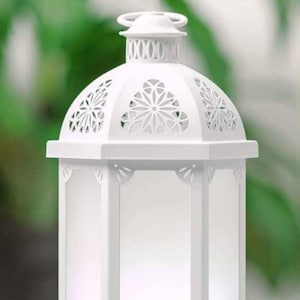 May include: White essential oil diffuser with a lantern design. The top features decorative cutouts and a handle. The base has the text "YOUNG LIVING". The background is blurred green foliage.