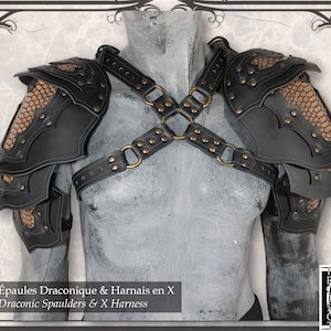 Draconic Spaulders (pair)