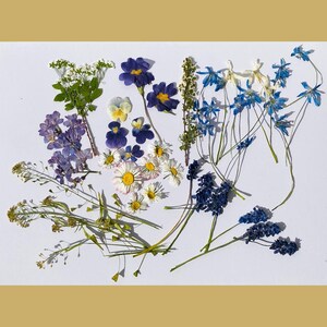 Pressed Flowers DIY Kit For Resin Art Real Dried Flowers For Craft Card Making Supplies Junk Journal Kit Pressed Dried Wildflowers For Resin