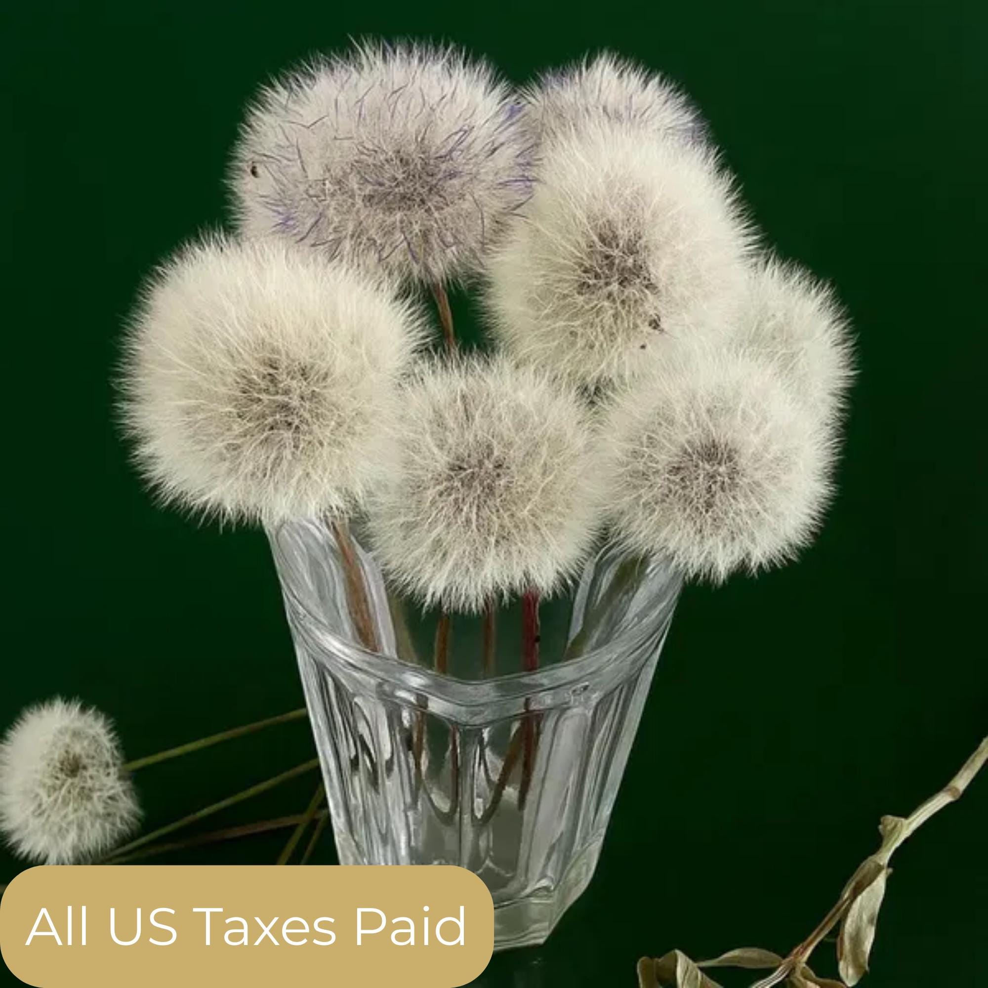 Knstliche pusteblume - Etsy Schweiz
