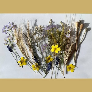 DIY Dried Flowers Kit For Resin Art 50-80 Pressed Flowers For Card Making Mixed Pack Of Pressed Flower Real Dried Pressed Wildflowers Kit