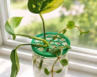3D Printed Propagation Jar Lids | Mason Jar Plant Cutting Holder (Set of 3)