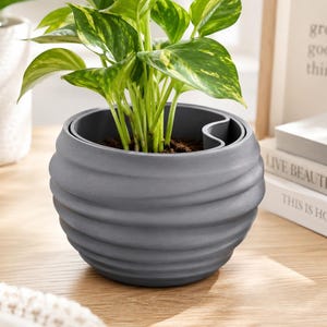 May include: A round, dark gray planter with a textured, horizontally ribbed exterior surface. The planter features a dual-compartment design with a visible inner rim and holds a green and yellow variegated pothos plant with soil.