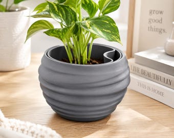 Self Watering Plant Pots | Small Planters for Succulents | 3D Printed | 2 Sizes | Customizable Colors