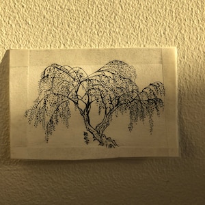 May include: A black and white ink drawing of a weeping willow tree with long, flowing branches. The drawing is on a white background and has a simple, elegant style.