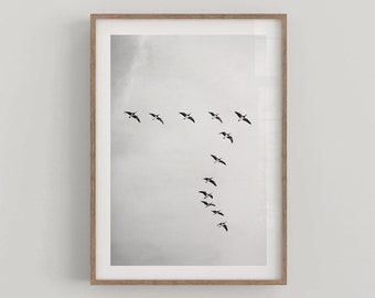 Birds Flying Black and White Minimalist Wall Art Poster Lifestyle Home Decor - Fine Art Photography Print - DIGITAL DOWNLOAD