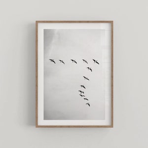 Vögel fliegen schwarz weiß Minimalist Wand Kunst Poster Lifestyle Wohnkultur - Fine Art Fotografie Druck - DIGITAL DOWNLOAD