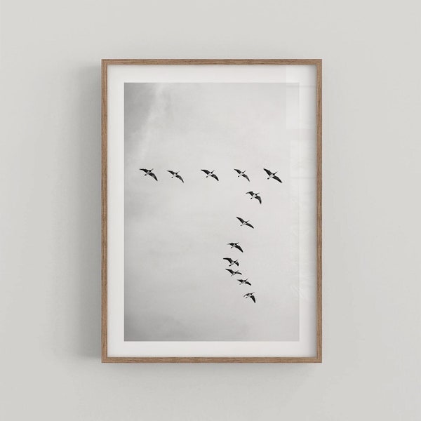 Birds Flying Black and White Minimalist Wall Art Poster Lifestyle Home Decor - Fine Art Photography Print - DIGITAL DOWNLOAD