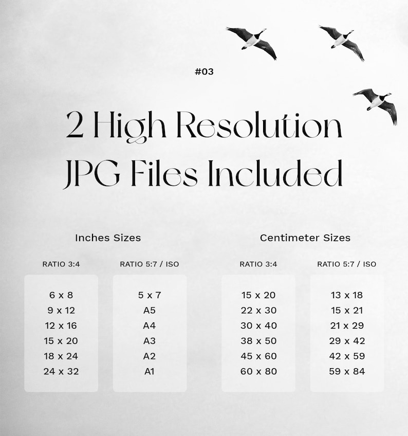 Peut inclure: Une image en noir et blanc avec deux oies en vol en haut et une troisi&egrave;me oie en bas. Le texte "#03 2 High Resolution JPG Files Included" est au centre de l'image. En dessous du texte, deux tableaux avec les titres "Inches Sizes" et "Centimeter Sizes". Les tableaux listent diff&eacute;rentes tailles en pouces et en centim&egrave;tres, avec les tailles de papier correspondantes list&eacute;es dans le tableau "Inches Sizes".