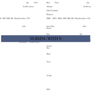 Nurse Brain MedSurg/Tele 2 Patient Report Sheet