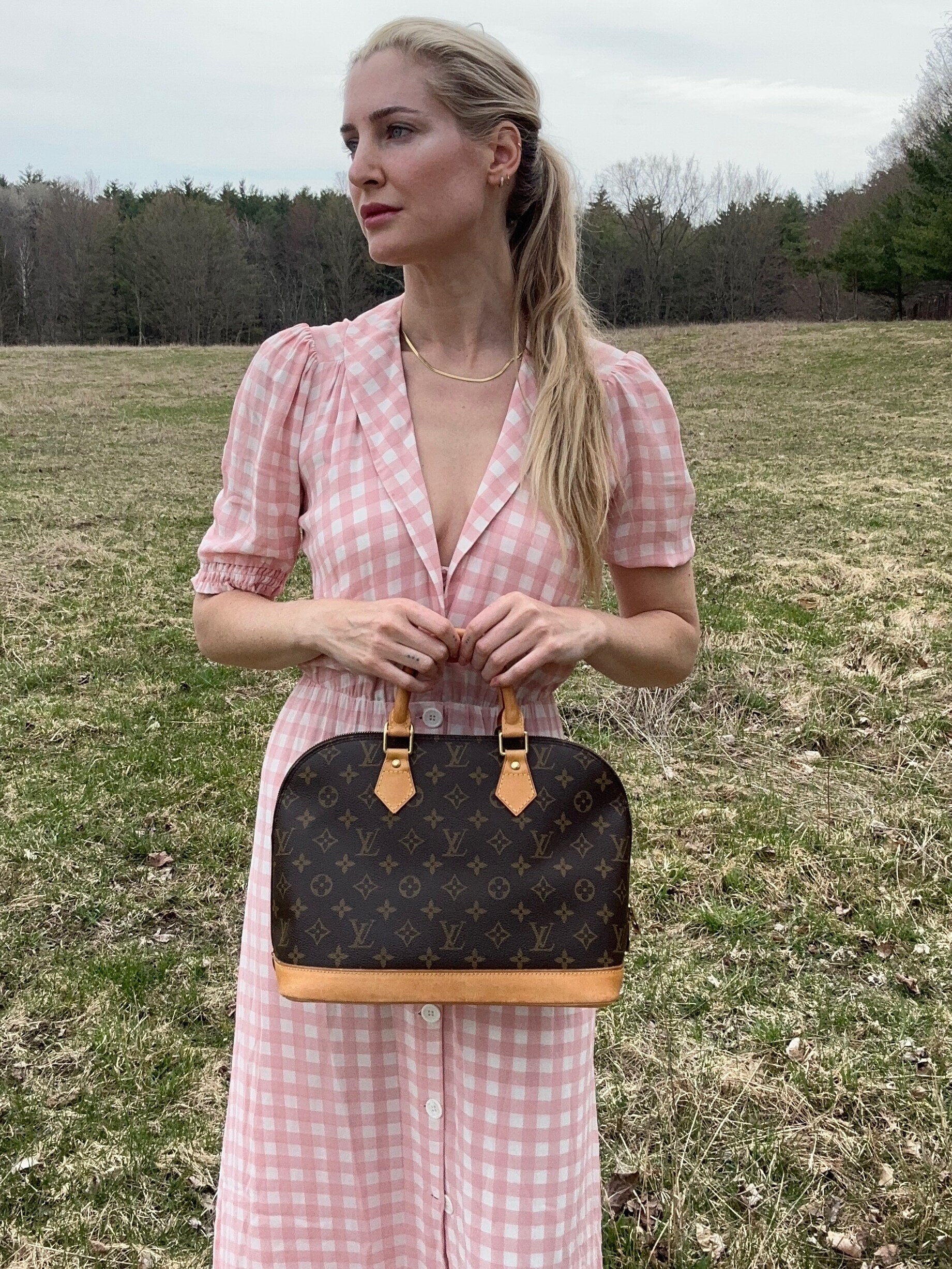 Bag Review: Louis Vuitton Damier Ebene Favorite PM - Coffee and