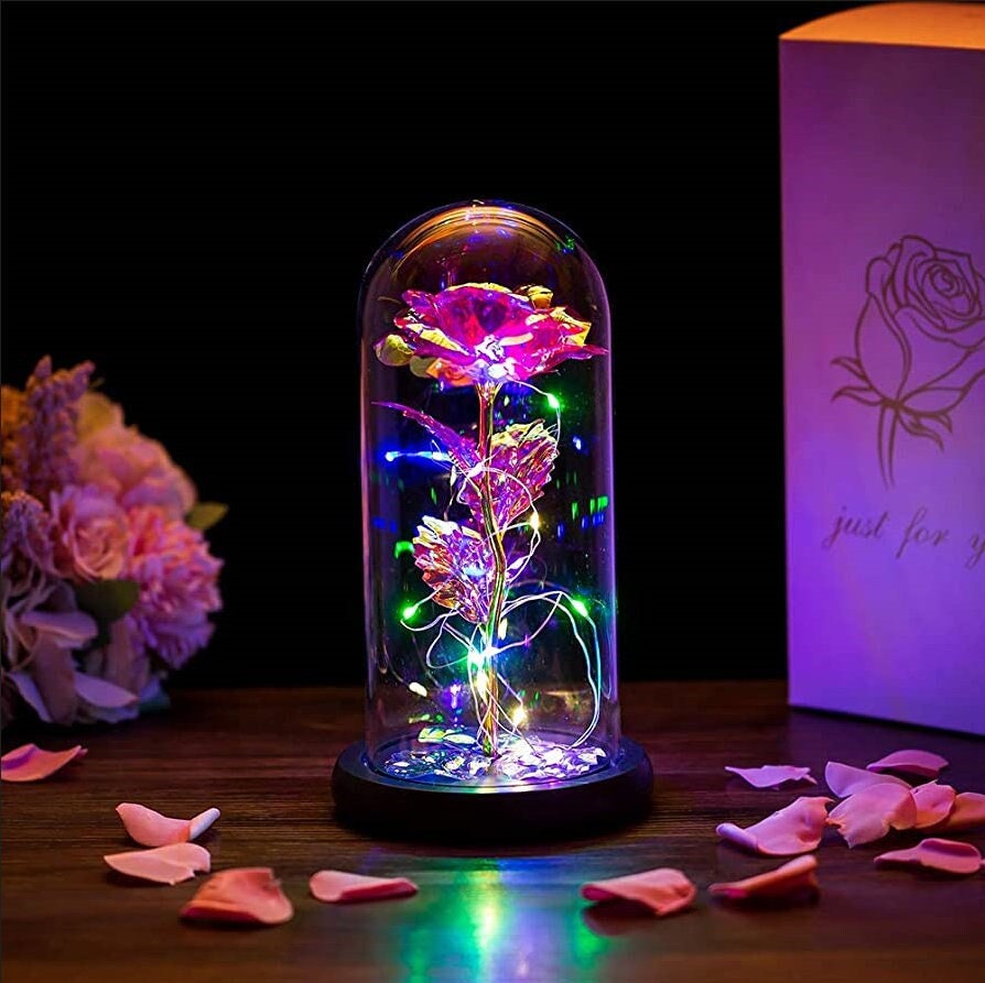 Led Rose Dome - Etsy