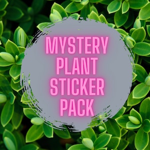 Mystery Pack Plant Vinyl Stickers