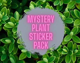 Mystery Pack Plant Vinyl Stickers