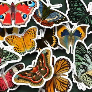 12 Cute Colorful Vintage Style Watercolor Butterfly Stickers