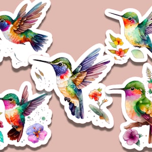 5 Aquarell Kolibri Aufkleber Set Wasserfest