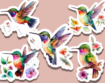 5 Watercolor Hummingbird Stickers Set Waterproof