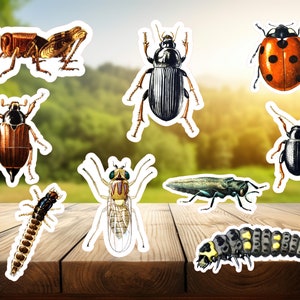 9 Vinyl Bug Sticker Set