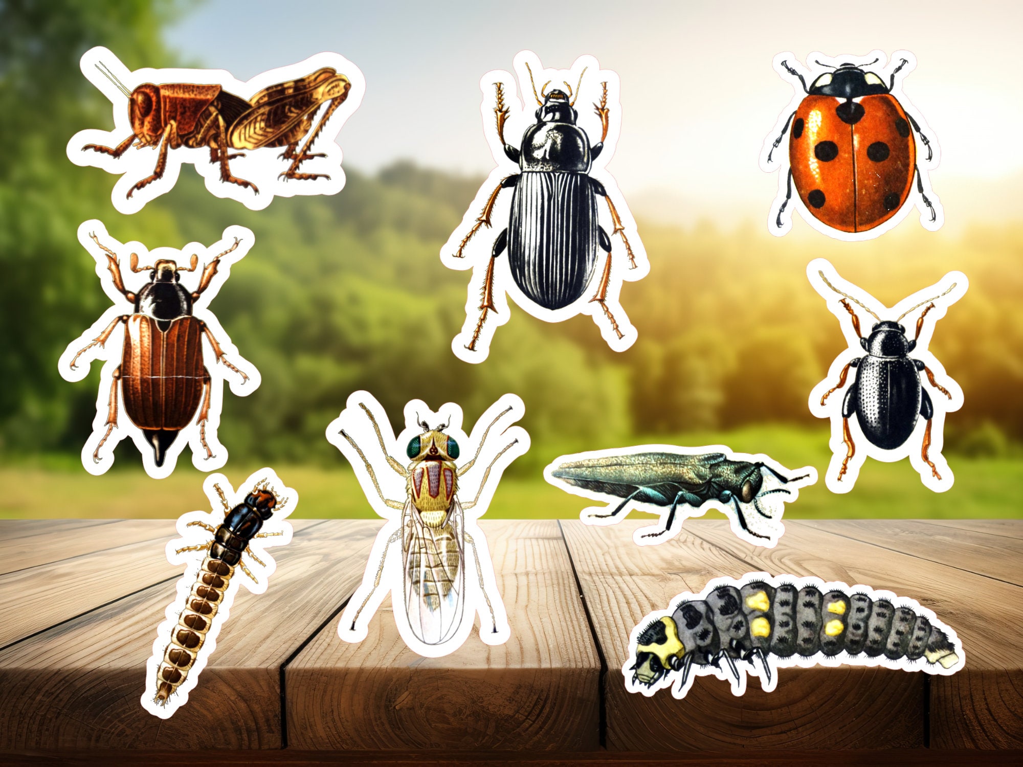 Bug Guard Sticker 9 Vinyl Bug Sticker Set - Etsy