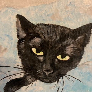 Custom Pet Portraits