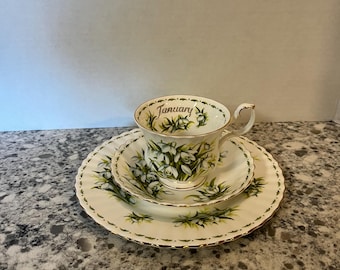 Juego de té Royal Albert Trio Flor del Mes “Campanillas de Invierno” Juego de té de enero
