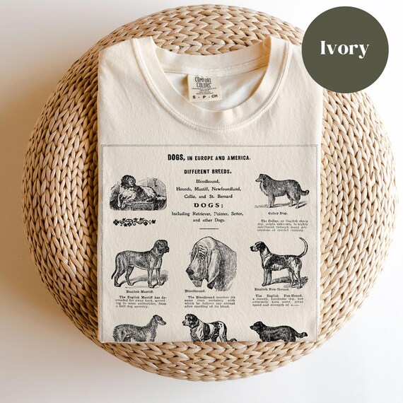 Vintage Dog Shirt, Dog Lover Gift, Shirt for Dog Lover, Breeds of Dogs Shirt, Shirts for Dog Lovers, Gift for Breeder, Gift for Dog Sitter