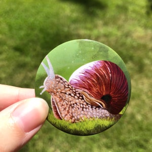 Snail Button Pin