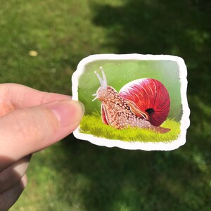 Sticker escargot