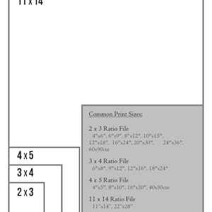 May include: A graphic showing print sizes, including 2x3, 3x4, 4x5, and 11x14 ratios. Common print sizes are listed in inches and centimeters, such as 4"x6", 6"x9", 8"x12", 10"x15", 12"x18", 16"x24", 20"x30", 24"x36", and 60x90cm.