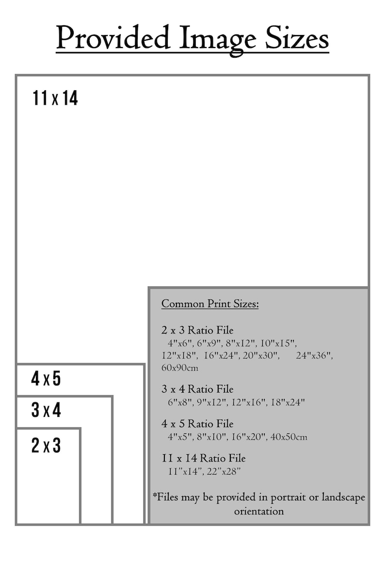 May include: A graphic showing print sizes, including 2x3, 3x4, 4x5, and 11x14 ratios. Common print sizes are listed in inches and centimeters, such as 4"x6", 6"x9", 8"x12", 10"x15", 12"x18", 16"x24", 20"x30", 24"x36", and 60x90cm.