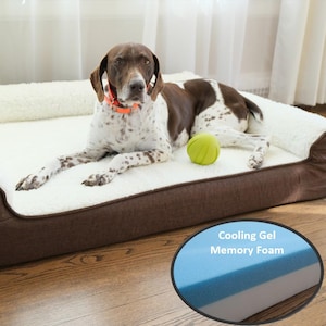 May include: A brown and white dog rests on a rectangular dog bed with a white, fluffy interior and brown exterior. A green ball sits nearby. The bed features Cooling Gel Memory Foam.