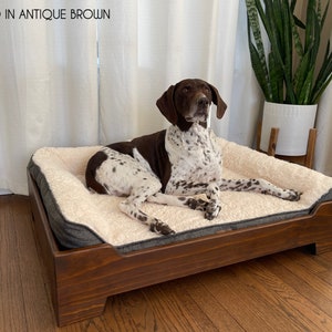May include: A brown and white dog lays on a beige dog bed with a gray border. The bed is in a wooden frame with a dark brown stain. The bed is on a wooden floor.