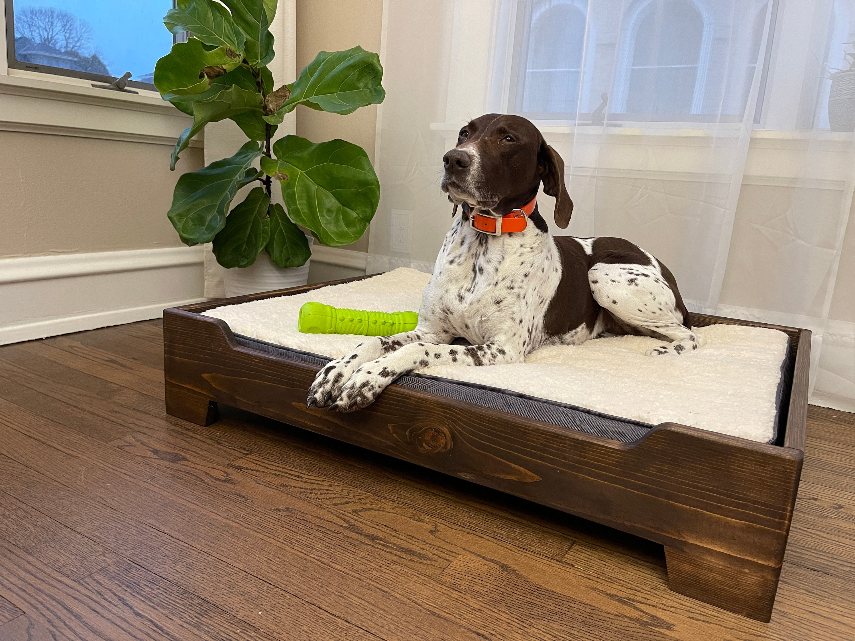 Are Raised Dog Beds Better