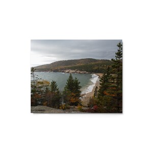 Sand Beach Acadia National Park in Autumn Metal Print, Available in 5 Sizes