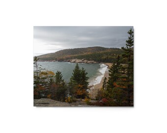 Sand Beach Acadia National Park in Autumn Metal Print, Available in 5 Sizes