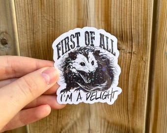 Sono un adesivo scintillante di opossum Delight - Prima di tutto, sono un adesivo scintillante di opossum Delight / Aggressive Possum / Adesivo di opossum scintillante / Adesivo tratto della personalità