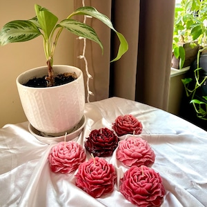 Peony Flower Candle